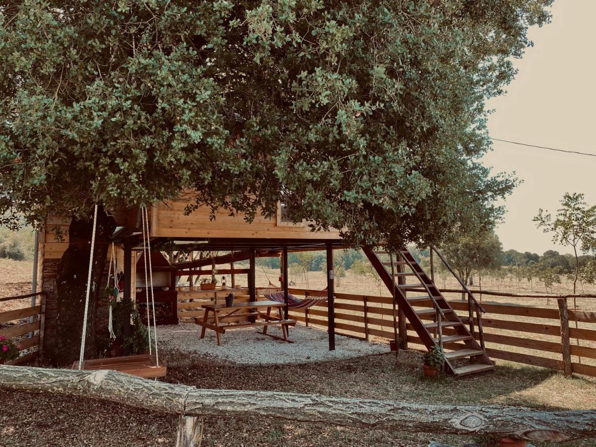 The Treevilla Giannina Esterno foto